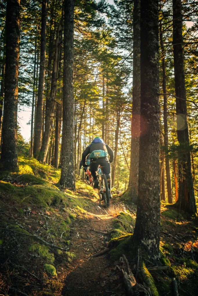 Rider in salita nel bosco